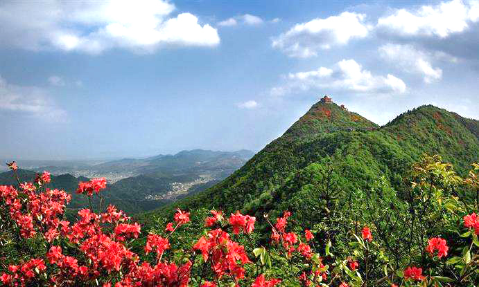 埃及旅游必备鞋款推荐 | 舒适与时尚并重